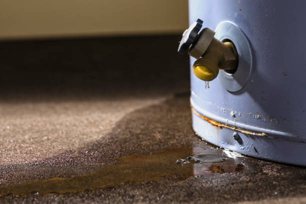 Best Water damage restoration near me  in Beaver Creek, TX