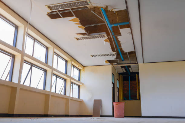 Best Ceiling water damage repair  in Beaver Creek, TX
