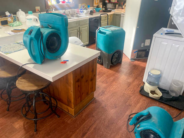 Water damage restoration insurance claims in Beaver Creek, TX
