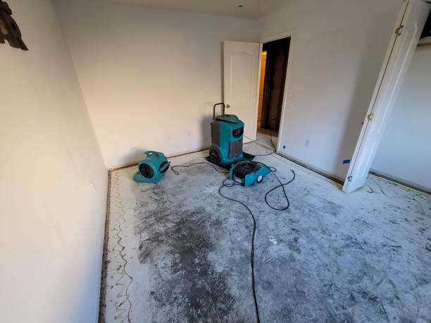 Best Emergency water damage restoration  in Beaver Creek, TX