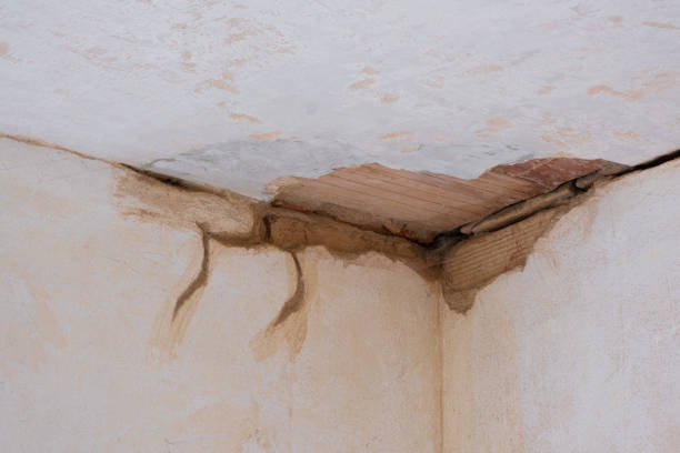Best Emergency water damage restoration  in Beaver Creek, TX