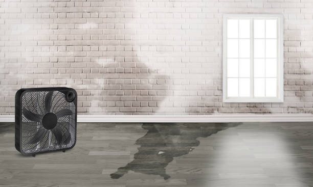Best Water damage restoration near me  in Beaver Creek, TX