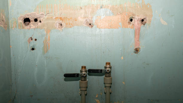 Best 24/7 water damage repair  in Beaver Creek, TX