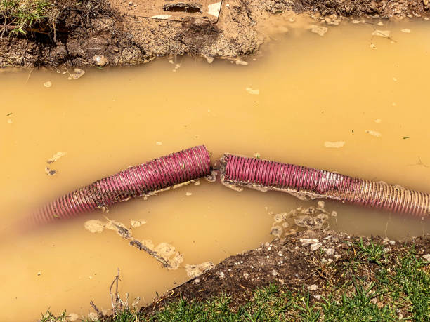 Best Water damage cleanup near me  in Beaver Creek, TX